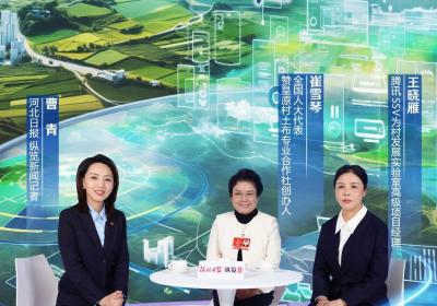 多模态访谈·新生活答案｜未来乡村是什么样？