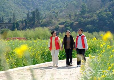 云南安宁：油菜花开 铺就“黄金”致富路组图