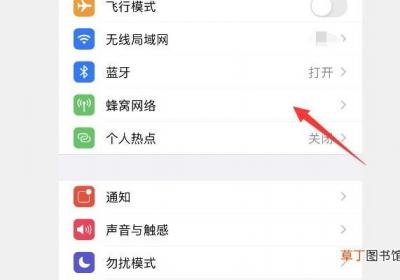 苹果手机网络设置在哪里