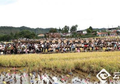 【早安云南·云游】跟着DeepSeek，走进保山乡村的“乡愁栖居地”