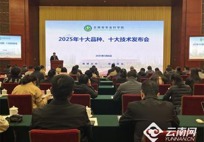 云南农业上新“黑科技”！云南省农业科学院发布2025年十大品种、十大技术