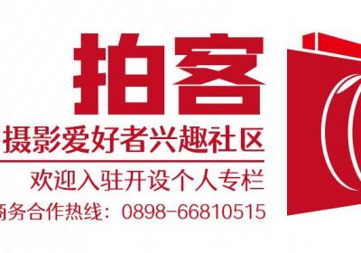 拍客 | 春天在哪里呀 在白沙木棉花盛放的胜景里