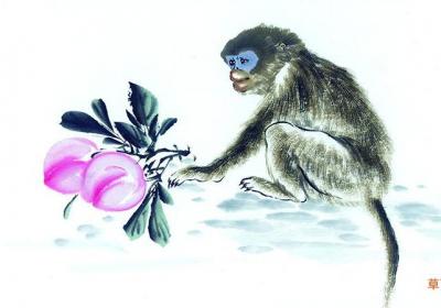 19年猴属猴的运势如何
