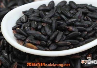 紫米和黑米的区别 紫米和黑米哪个好