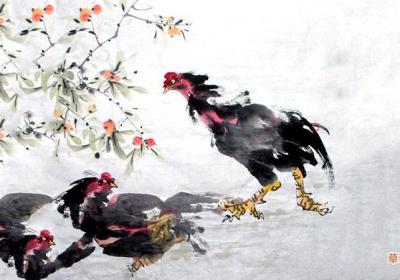 属鸡的今年运气如何