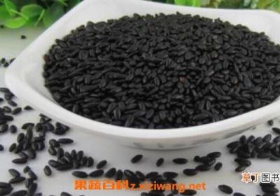黑米和黑糯米的区别 黑米和黑糯米哪个好