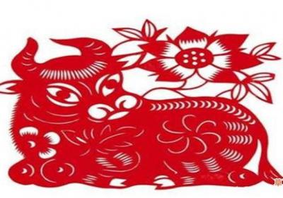 今年属牛的财运和运气如何
