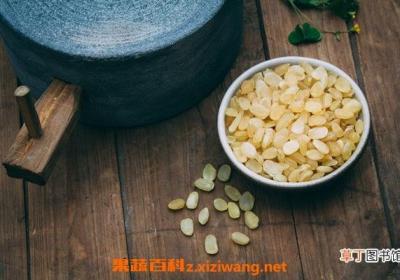皂角米的功效与作用 皂角米什么人不能吃