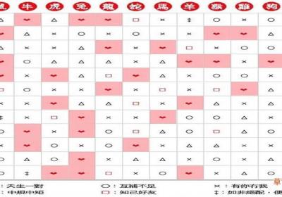 生肖犯冲会怎么样