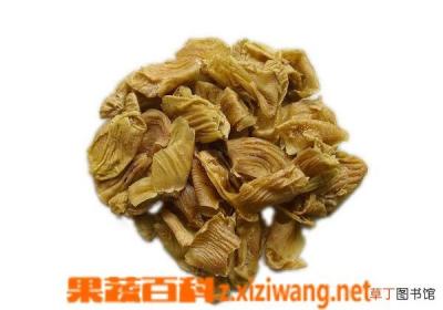 鸡内金的功效与作用及禁忌