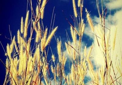 如何提高情商 8个高情商说话技巧