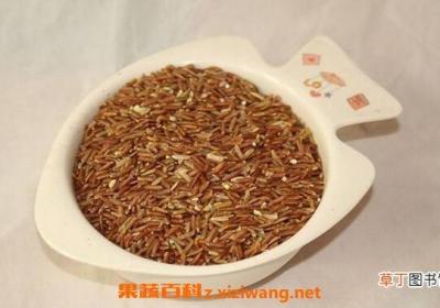 糙米怎么吃 糙米的正确食用方法