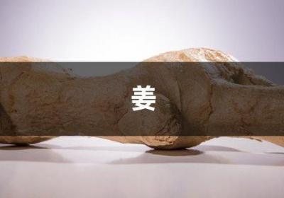 想要盆景不用买！放块“生姜”在土里，几月长成“小树林”