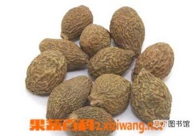 胖大海是什么 胖大海泡水喝的功效
