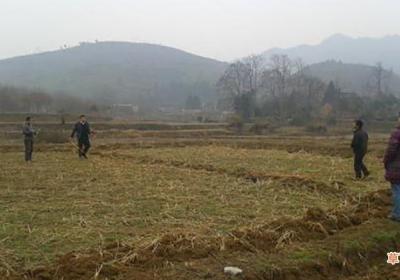 梦见买地皮是什么意思