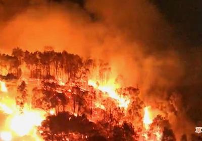 梦见山上着火了什么意思
