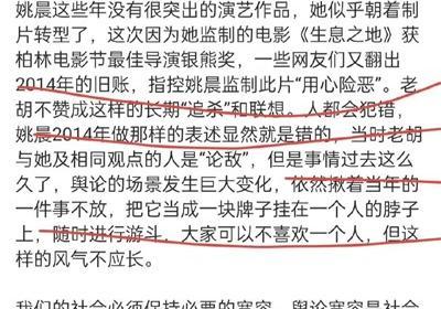 胡锡进替姚晨辩护：假如美国女明星在911当天说美国是“恶之花盛开的土地”
