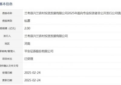 兰考兴兰农投拟发行2亿元公司债，已获深交所受理