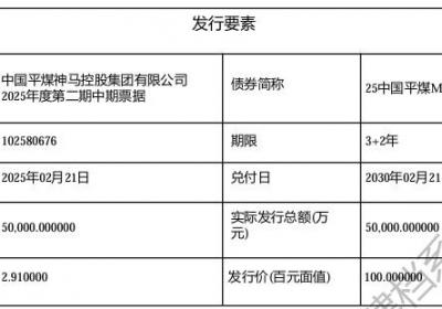 中国平煤神马控股集团5亿元中票完成发行，利率2.91％