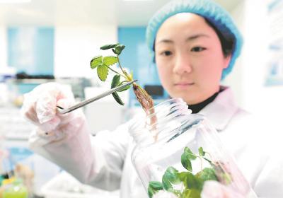 加快科技创新和产业转型升级