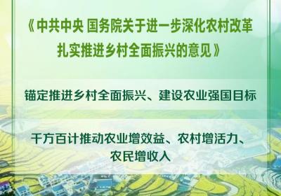 2025年中央一号文件发布：引领农业现代化新征程
