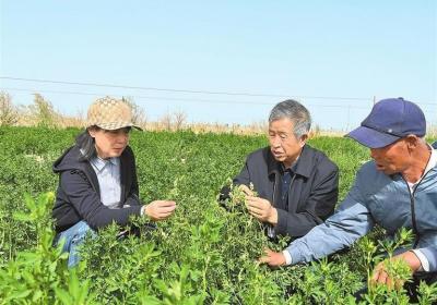 【代表委员履职故事】马晖玲代表：探索现代种业可持续发展路径
