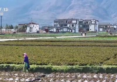 她带领“小院青年”挖掘古生村的经济密码