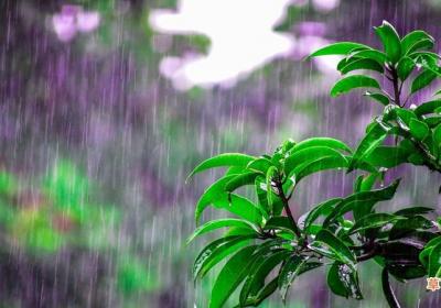 梦见下雨涨水什么意思