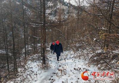 国网陇南供电公司：踏雪巡线保供电 守护万家灯火明