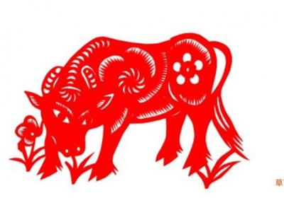 73属什么