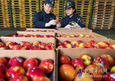 助力高水平对外开放 宁波海关梳理出台“36计”