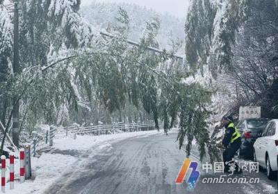 非必要不进山！宁波部分道路因雨雪冰冻封道 山区求助警情不断