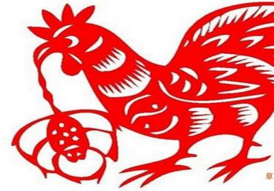 属鸡属牛相配吗