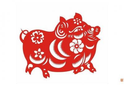 属猪2020年运势