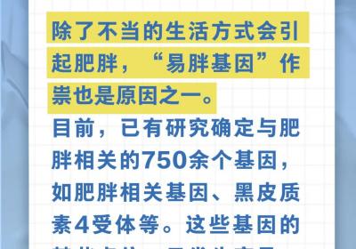 谣言终结站 | 有些人属于“易胖体质”……是真是假？