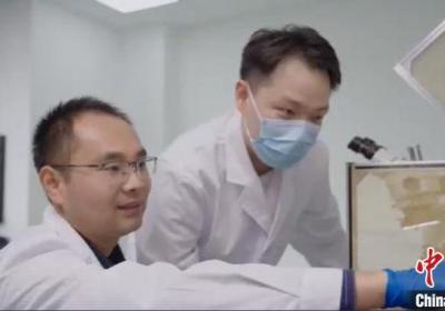 中外科研团队应用大数据分析技术解码农药生态风险