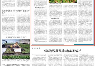 守护种子“摇篮”！《农民日报》点赞云南元谋县高原南繁育种基地