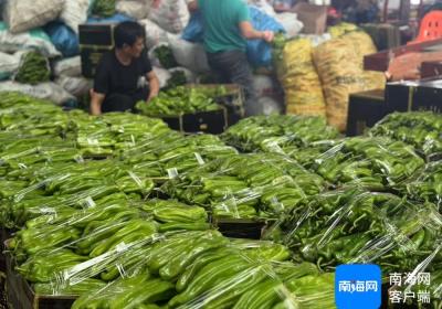 公益海南·媒美与共丨海口市菜篮子江楠农产品批发市场扩大本地菜免费销售区 助力椒农“拓销路”