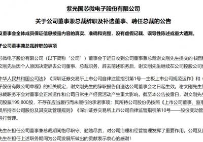 紫光国微高层调整：李天池接棒，开启新篇章