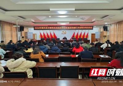 衡东县卫健局召开基层党组织书记抓党建工作述职评议会