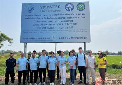 加强跨境农业科技合作 “小而美”民生项目取得实效