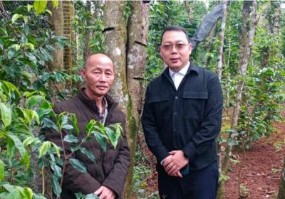 御王印科技集团考察文昌白木香基地 助力沉香产业振兴