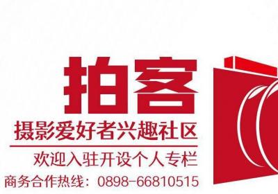 拍客 | 烟花点亮椰城夜空 回顾2025年海口元宵烟花晚会