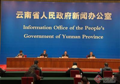 【云新发布】云南：八大财政政策 为中药材产业“强心铸链”