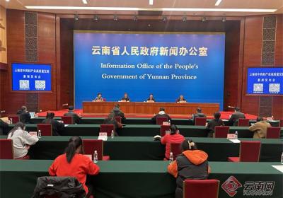 【云新发布】《云南中药材种植养殖区划2025—2027年》出炉 这些重点抢先看！