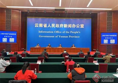 【云新发布】《云南省中药材产业高质量发展三年行动工作方案2025—2027年》出台