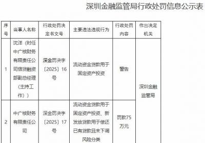 中广核财务公司被罚75万元