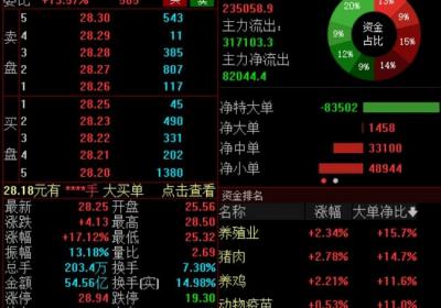 A股三大指数齐低开，阿里概念股高开