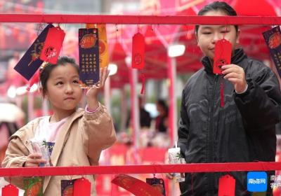 原创组图丨“新春购鲜品 消费助振兴”农产品展销年货大集海口开市