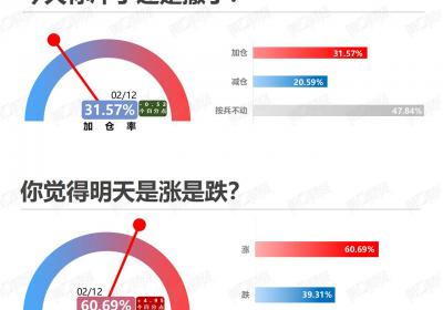 市场看涨情绪高涨，2月12日信心指数达61%